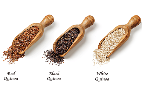 Questions about Quinoa?